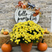 18" Hello Pumpkin - Wooden Door Hanger - Rustiva